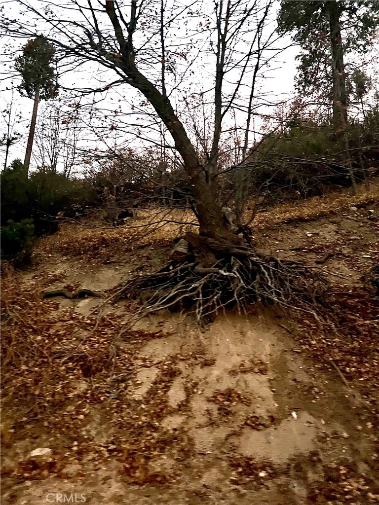 Cedar Glen (CEDG) - Land