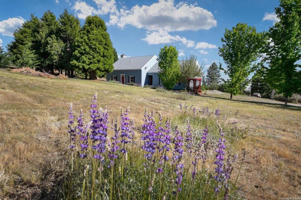 listing image 130728779258876239976