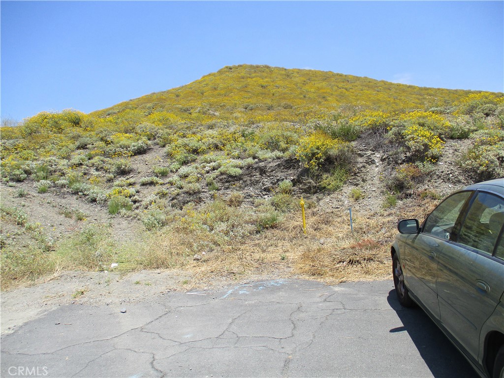 REDUCED!! DIRT CHEAP!! This LARGE VIEW LOT, in the very desirable RURAL area of the fast-growing CITY Of MENIFEE, is located at the end of a Cul De Sac NO HOA and LOW TAXES. This 1.91 acres of horse property with a PANORAMIC VIEW, will accommodate a CUSTOM frame-built home or a manufactured home. This is NOT in the Moratorium Area. Water in the street