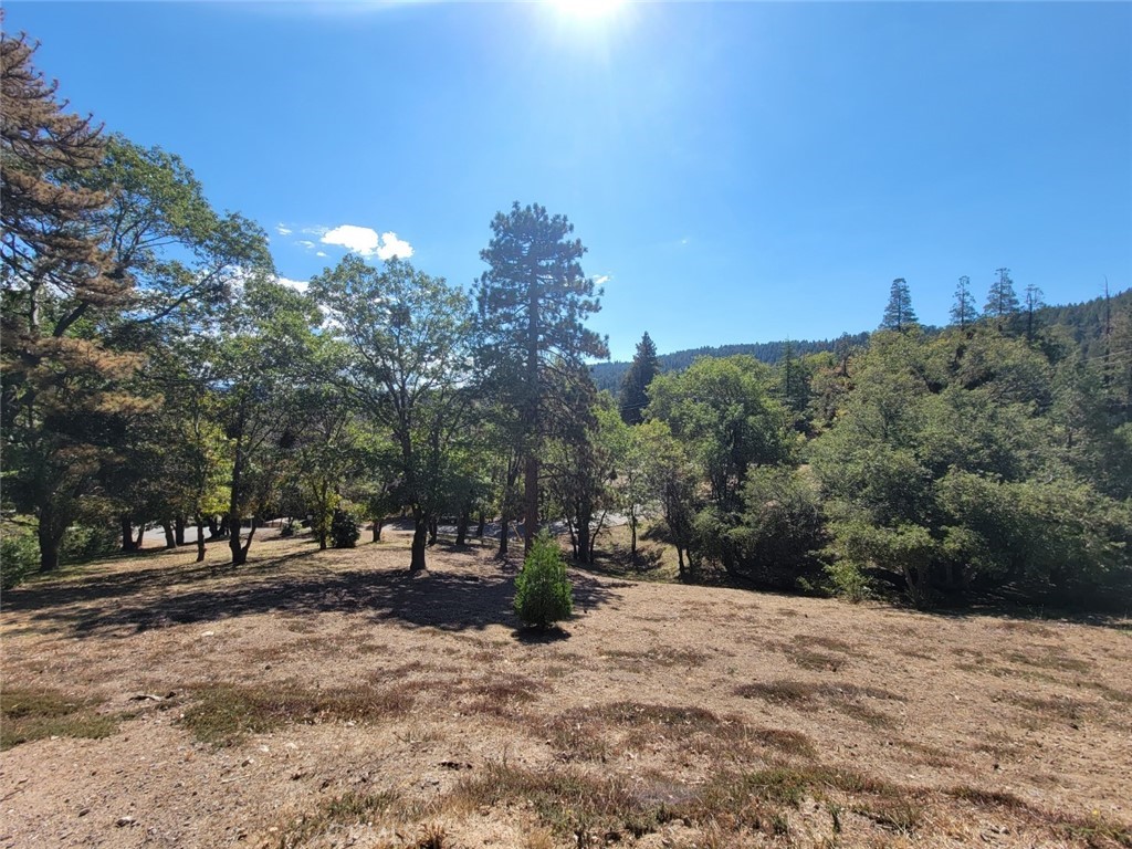 Over 1 acre of land located in Cedarpines Park ready for you to build. With 4 lots in total, this land offers beautiful mature trees, and possible views of mountainous treetops from your custom home. This street-to-street lot has potential for multiple access points from Whispering Pines Drive, Thorne Pl, or Buckthorne Dr. If you're looking to build, this property is a must see. Topography map included. Easy to find, located across from 21932 Buckthorne Drive.