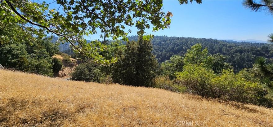 Looking for a great location to build your DREAM HOME? Take a look at this great lot located only 0.3 miles away from the lake in Crestline California. Can you picture yourself building a home with an amazing panoramic mountains view and be surrounded by pasture, trees and a great neighborhood? Well look no more, because this lot with 15,625 SQ Ft will give you the opportunity to build an amazing place that you can call home. This great lot has electricity and water nearby. This lot is a corner lot, and its main street is pavemented. Go explore this great lot and imagine the possibilities of building your dream Home!