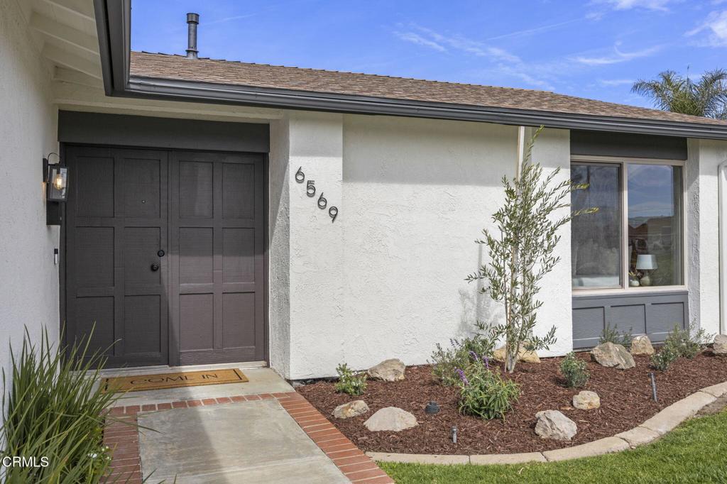 6569 Swan Street