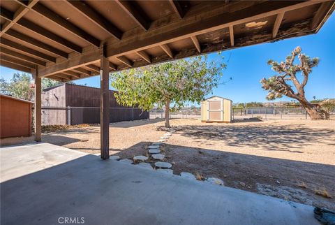 A home in Joshua Tree