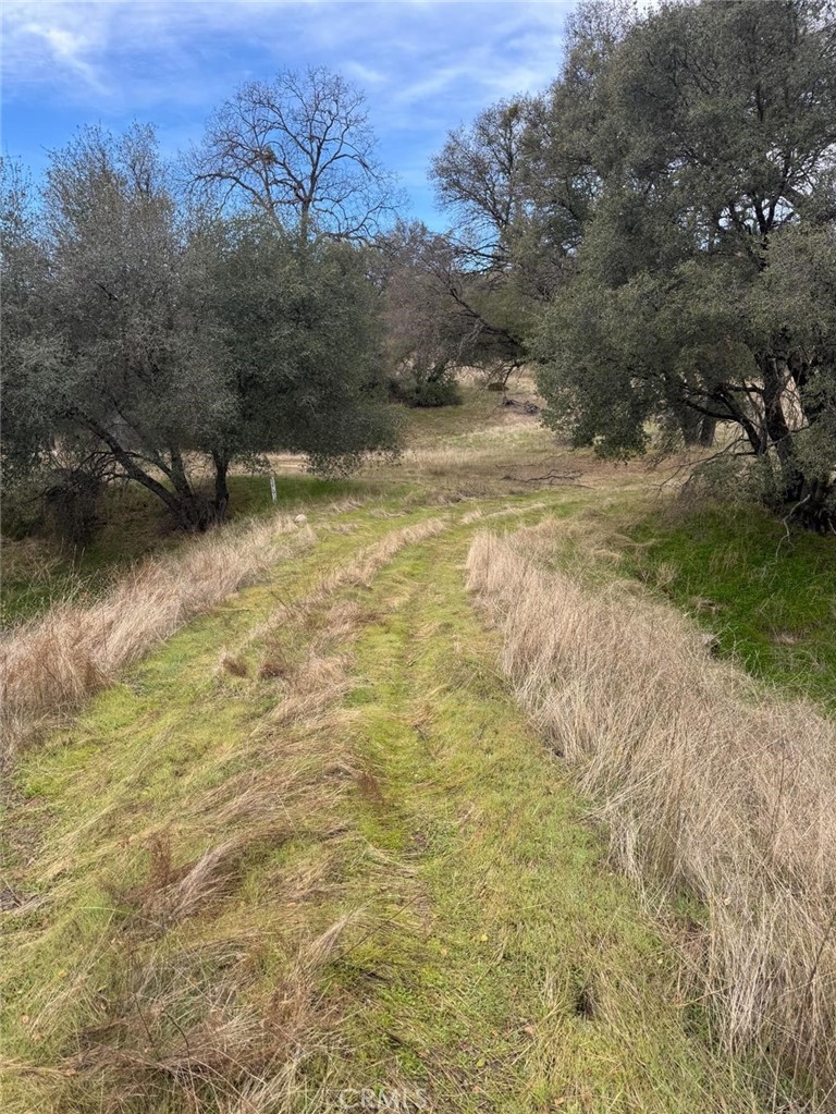 10 beautiful Acres in Lovely Mariposa! This private land is the perfect place to custom build your own home. Well has already been drilled.