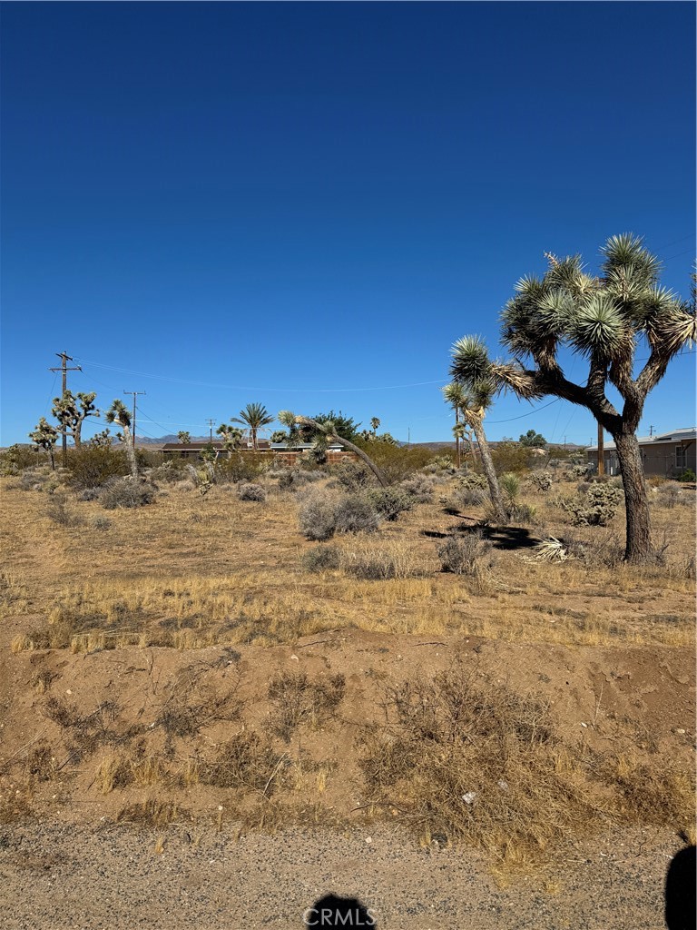 WOW - SIMPLY ONE OF THE MOST PICTURESQUE BUILDING PARCELS AVAILABLE IN YUCCA VALLEY - NEARLY 1/2 ACRE IN SIZE. VIEWS GO FOREVER - GO WALK THIS LOT AND SEE FOR YOURSELF. LOCATED DIRECTLY BEHIND 58279 CANTERBURY.