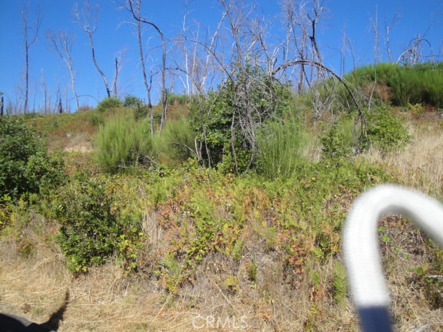 One of Three Lots available at Lake Madrone in the Meadow Area behind the 3rd Gate. Not far from Lake Oroville which has 167 Miles of Shoreline for all types of recreation. Great opportunity while the prices are low to purchase building site at gated community. Located at the 2200 foot level for cool summer days and nights. Perfect distance from Sacramento or Bay Area to enjoy on weekends. Buy this with friends and build your weekend getaway. Beautiful Area for weekends or live all year round. Two other lots available contiguous to this lot.. Buy all three with friends or for yourself and enjoy. PICTURES OF GATE ENTRANCE, BEACH AND LAKE ARE NOT VISIBLE FROM LOTS BUT WITHIN VERY SHORT WALKING DISTANCE!