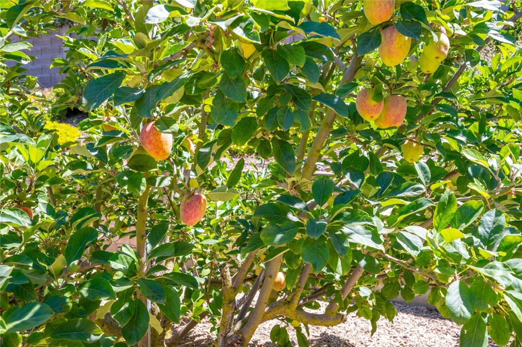 SM Southeast(930) - Residential