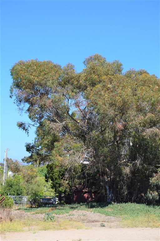 Carmel Valley - Land