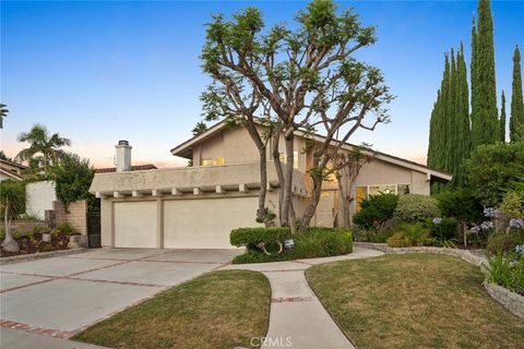 A home in Laguna Hills