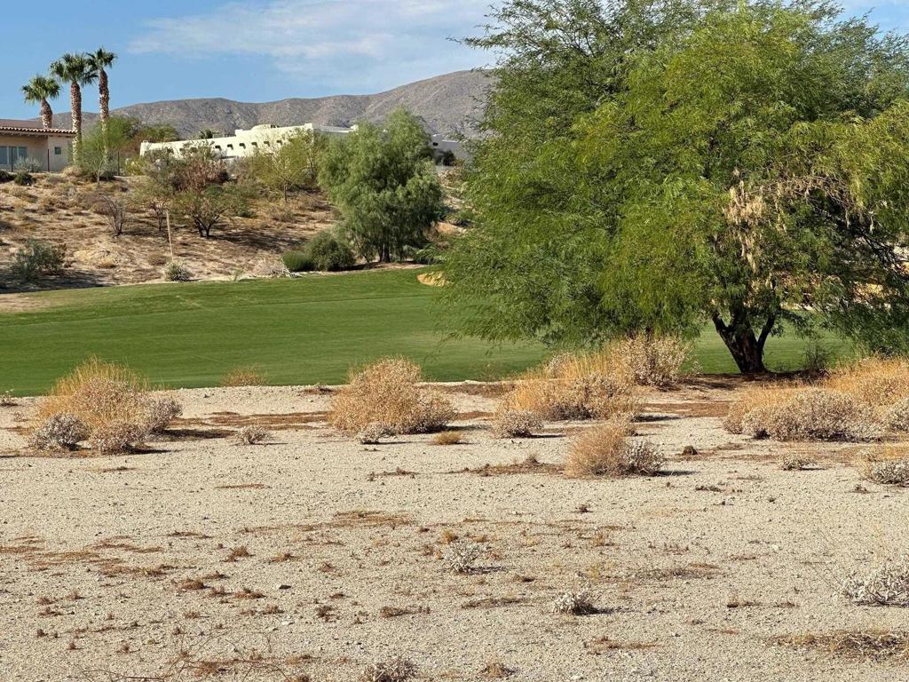 Rams Hill lot with mountain and golf course views! ! Borrego Springs’ designation as an International Dark Sky Community makes it a perfect spot for stargazing, and its proximity to the Anza-Borrego Desert State Park means there are plenty of opportunities for outdoor activities like hiking, wildlife viewing, and exploring the desert landscape.