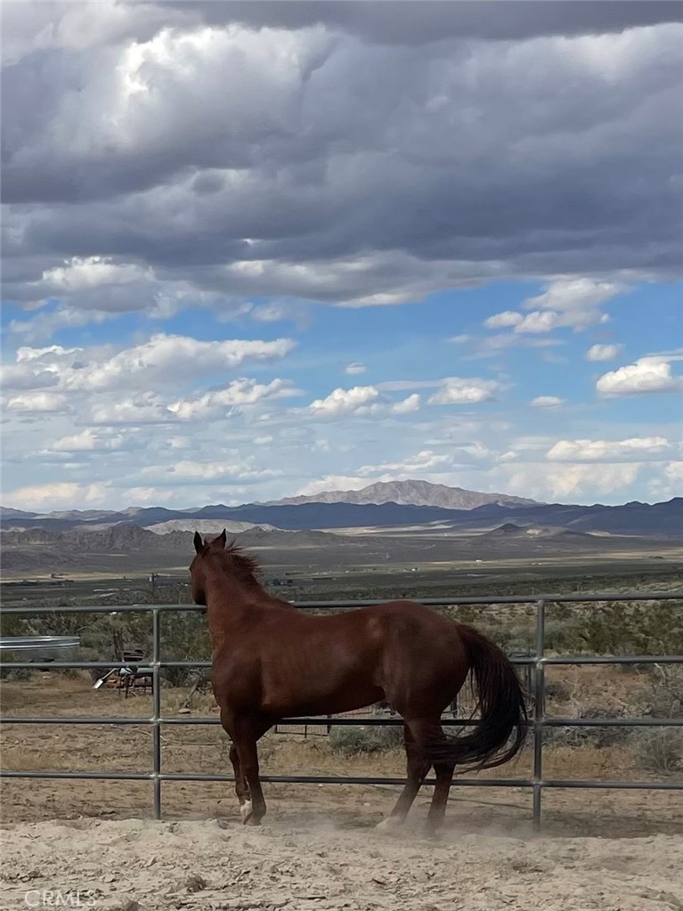 OWN THIS WONDERFUL PIECE OF 5 AC LAND SITS AT THE BASE OF HWY THAT LEADS TO BIG BEAR ... EASY ACCESS RIGHT OFF OF CAMPROCK RD