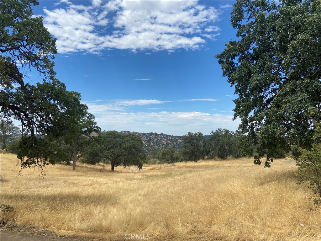 "IMAGINE OWNING 6.23 ACRES IN THE MOUNTAINS of COARSEGOLD"... This uniquely large parcel is located just minutes from the Southern Entrance of YOSEMITE NATIONAL PARK, just 30 minutes to North of Fresno, Bass Lake and within 5 minutes of the Chukchansi Gold Resort & Casino! This parcel features country living yet a convenient location! You will enjoy the sunset views, birds, deer, wildlife and the outdoors this great land has to offer when you build your dream home!!! Easy access wide gravel road, view, power on property and the level area of the parcel will provide a perfect building site for your NEW HOME!!! NO CC&R'S OR HOA'S!!! Call your favorite Real Estate Agent for an appointment today! THIS IS A MUST SEE!