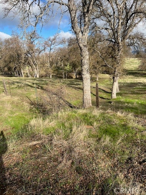 0 Bobcat Ct