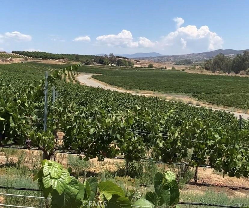 Beautiful Panoramic Views! Located in the Heart of Temecula Wine Country! One Acre Building Area in "Wine Grape Vineyard" current County Land Use, with remaining acreage being fully maintained by the Vineyard Grower. You'll benefit from beautiful sight and truly breathtaking views of the surrounding vineyards. Adjacent 30 acres to remain vineyard, and no future development is to be proposed/built. Paved Road, Water and Electricity at the street. Buyer to verify. Stroll to neighboring world class and award winning wineries! Close proximity to dining, shopping, golf, excellent schools, casinos, Historic Old Town Temecula, freeways. Build your Dream Home.