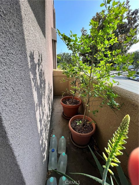 A home in North Hollywood