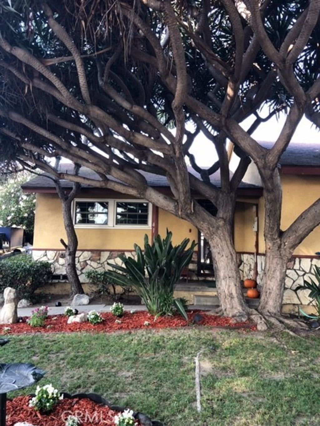 listing image 130721321836671792114