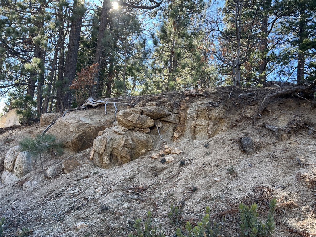 Beautiful lot in the popular Nodic Tract. Build your dream home. Lots of tree's and mountain views. Close to ski resorts, hiking trails and more.
Owner may carry.