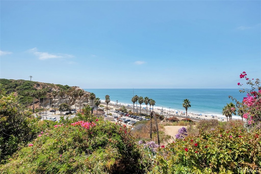 Welcome to your dream coastal retreat at 235 Avenida Lobeiro. This property is located in the Parkview Condos, nestled above Califia Beach and adjacent to the ocean view park, offering a prime location that combines tranquility and accessibility. A fully furnished and newly remodeled gem, this residence boasts 3 bedrooms and 2 bathrooms. The modern kitchen with stainless steel appliances and quartz countertops seamlessly blends into the open living area, creating an inviting space. Step outside to your own private backyard oasis, relish in the proximity to the pool, and enjoy the assurance of 2 underground parking spaces, ensuring both comfort and security.