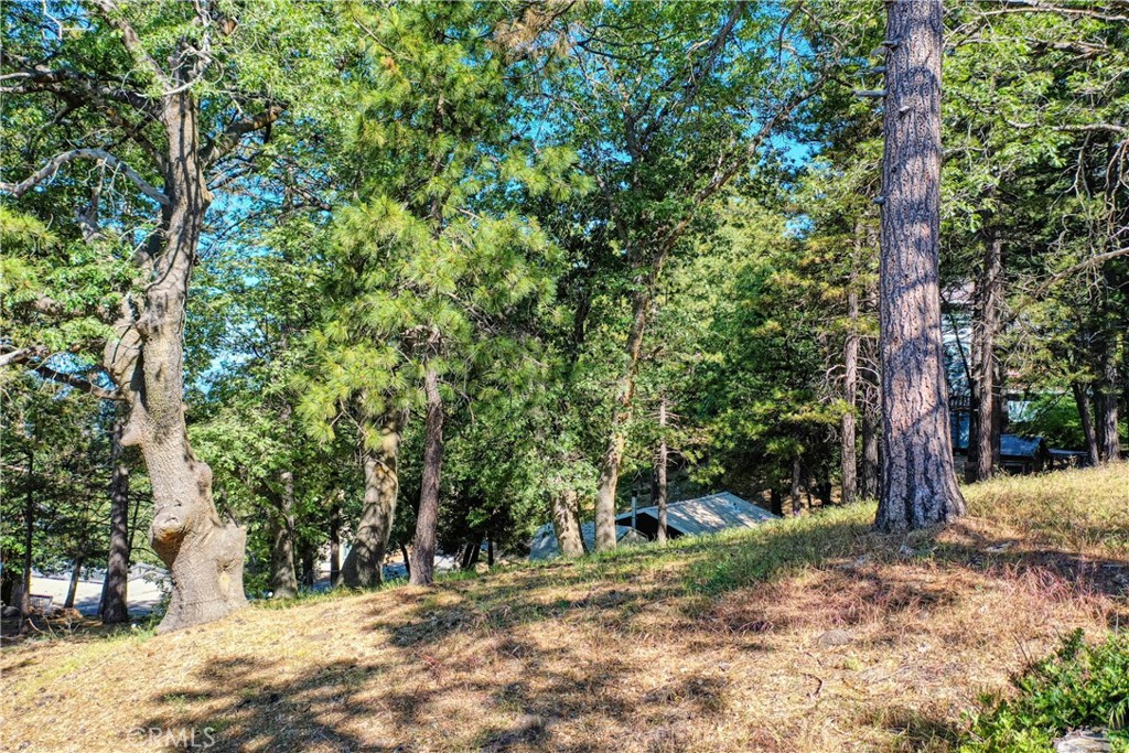 Running Springs (RUSG) - Land