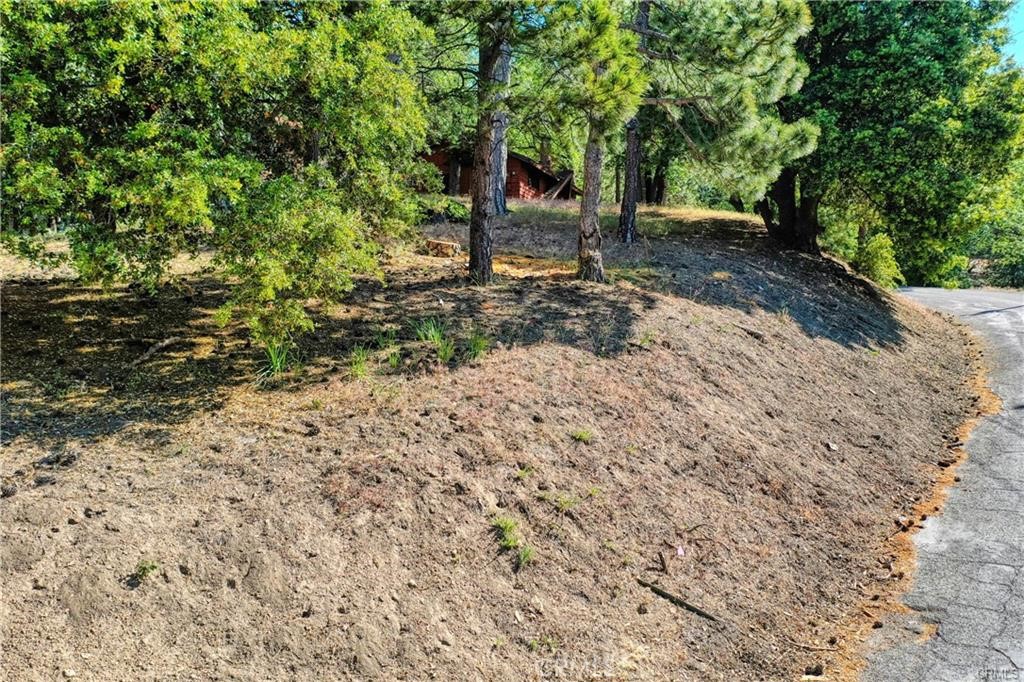 Running Springs (RUSG) - Land