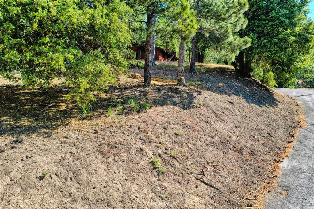 Running Springs (RUSG) - Land