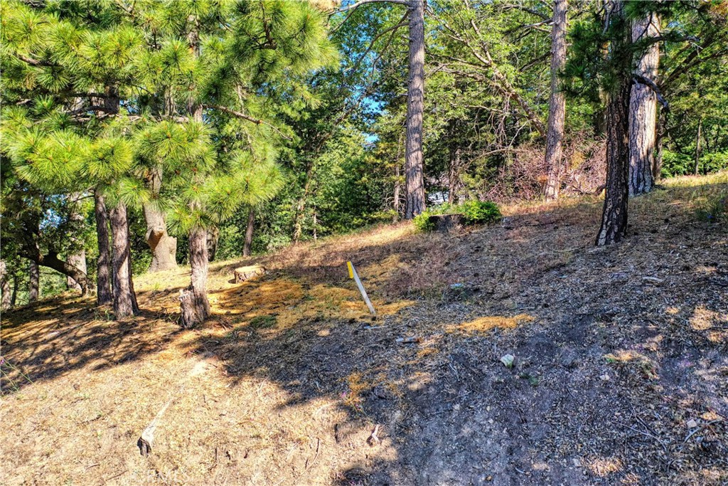 Running Springs (RUSG) - Land