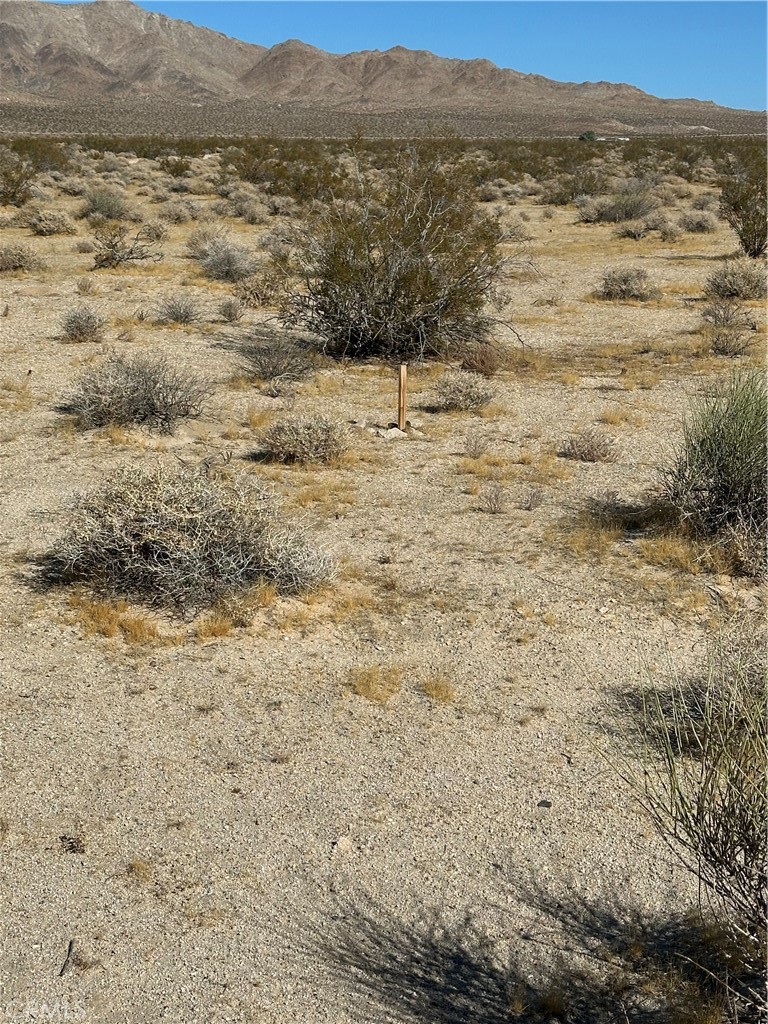 0 Fort Irwin Rd/Shenk Ranch
