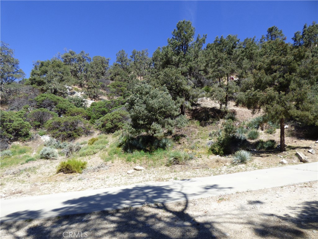 5 adjoining view lots for sale in the mountain town of Frazier Park. The 5 lots total 18,231 square feet and are naturally landscaped with lots of pinon pine trees and manzanita bushes. A water meter is installed on the northern lot. Enjoy the beautiful view of Frazier Mountain and the bright stars at night. Frazier Park is centrally located between Santa Clarita Valley, Bakersfield and Lancaster.
APN#'s: 259-054-01,259-054-02, 259-054-03, 259-054-04 and 259-054-05.
