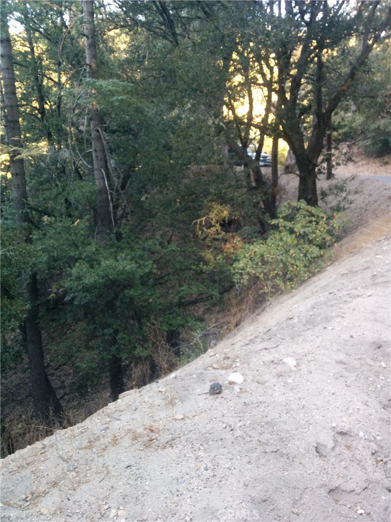 THIS IS LAND IS ZONED RESIDENTIAL AND IS BUILDABLE. THERE IS A PAVED ROAD, WITH WATER, ELECTRICITY, FIRE HYDRANT, CABLE ALL AT THE STREET. THERE IS A STEEP DOWN SLOPE FROM THE PAVED ROAD BUT THIS IS TYPICAL IN THAT AREA. THERE ARE MATURE TREES, AND A FORESTRY TYPE OF ATMOSPHERE.