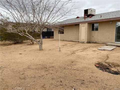 A home in Joshua Tree