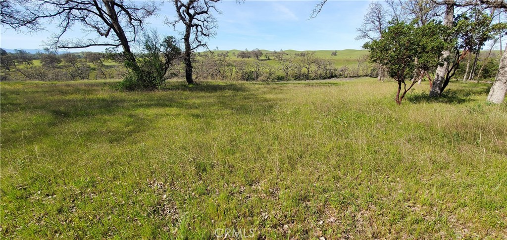 This is one of the best parcels available in Rancho Tehama! With beautiful views of the mountains and Elder Creek, it's ideal for a home and a shop/garage. This might be the perfect property to have a zip line down to the creek!! It would be possible to hike down the creek a short way and come out at Pebble Beach. Drive on out and take a look today!Drive on out and take a look today!