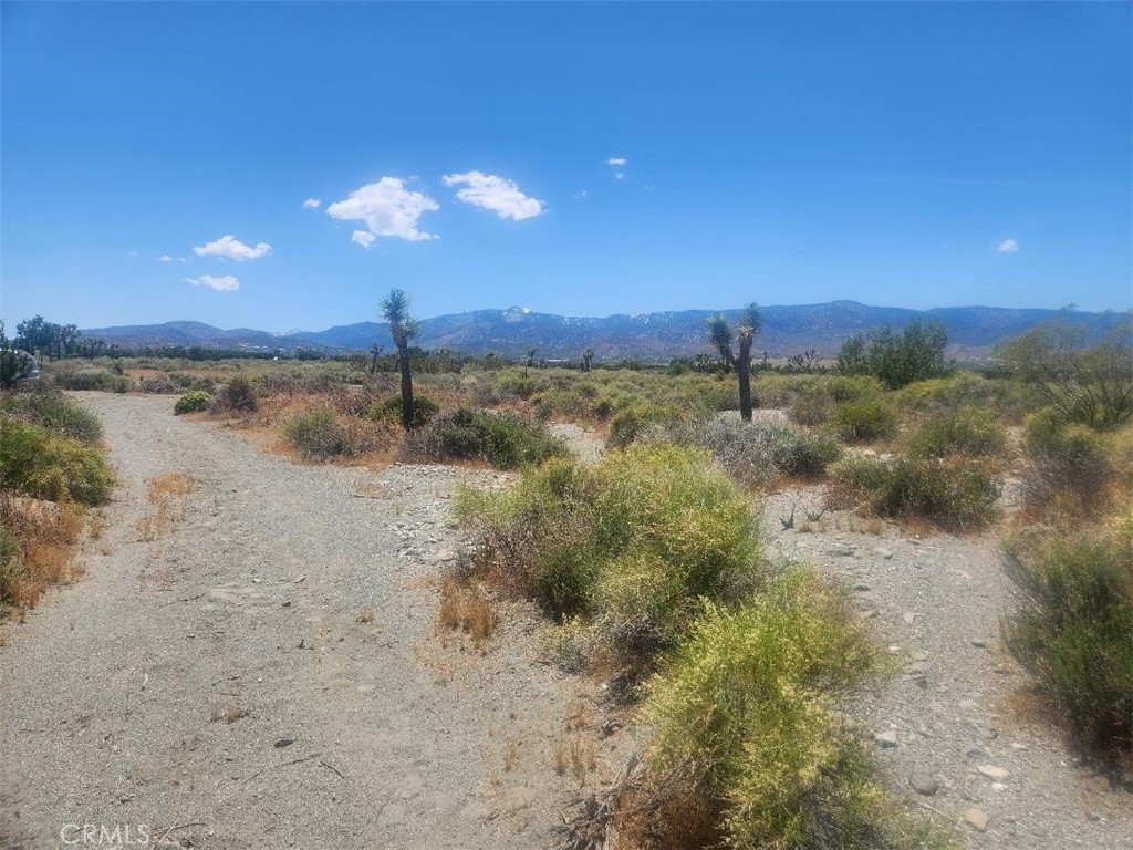 5 Acres of flat land in Pinon Hills! Live in Seclusion and enjoy the views and quiet! Not far from town.