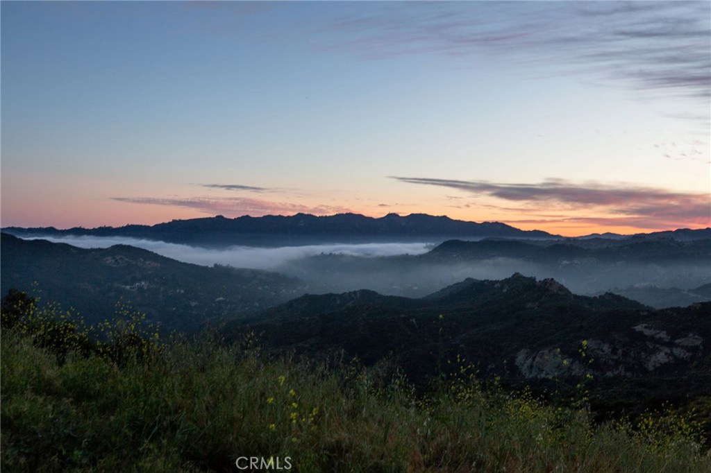 1 Mulholland