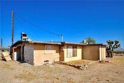 A home in Joshua Tree