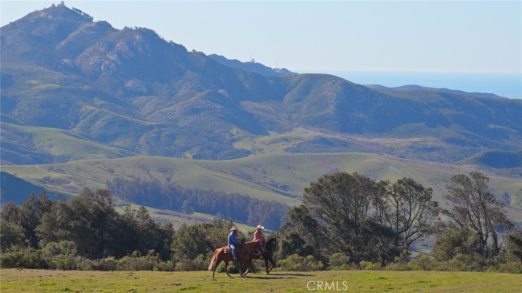 South West Lmpc(54) - Residential