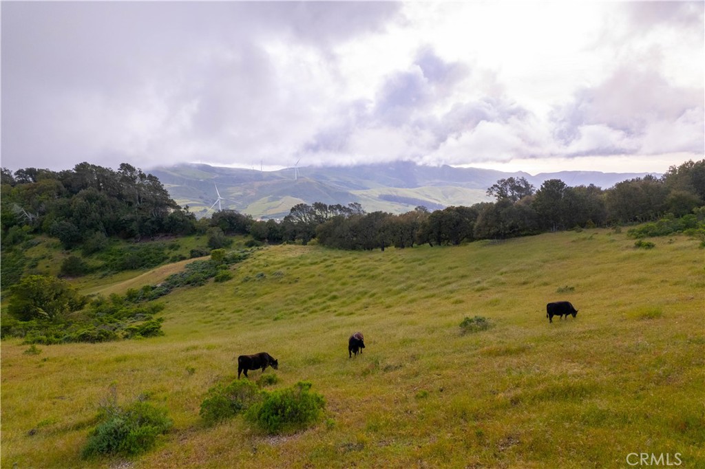 South West Lmpc(54) - Residential