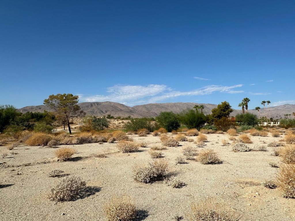 End lot with great mountain views in Rams Hill! Borrego Springs’ designation as an International Dark Sky Community makes it a perfect spot for stargazing, and its proximity to the Anza-Borrego Desert State Park means there are plenty of opportunities for outdoor activities like hiking, wildlife viewing, and exploring the desert landscape.