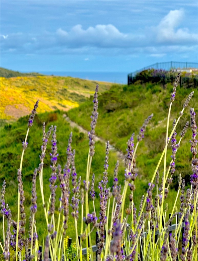 Crystal Cove Estate Collection (CCEC) - Residential