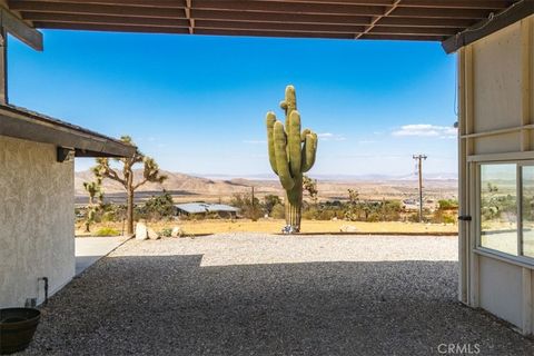 A home in Joshua Tree