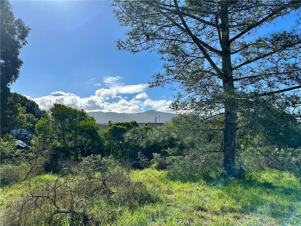 Town of El Moro(680) - Land