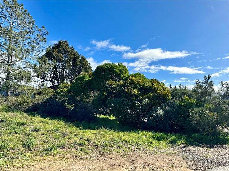 Price Reduced-

Discover the ultimate canvas for your dream home with this exceptional view lot in Los Osos! Nestled in a tranquil neighborhood, this expansive 9,200-square-foot parcel offers captivating vistas of the stunning Irish Hills, along with delightful peek-a-boo views of the ocean and bay. Enjoy the  paved streets and the convenience of being just steps away from the enchanting Elfin Forest. For outdoor enthusiasts, you're only a quick 3-minute bike ride from vibrant downtown Baywood and mere minutes from the breathtaking Montana del Oro, where you can indulge in biking, surfing, and horseback riding amidst the natural beauty of SLO County. Don't miss your chance to create your perfect retreat in this prime location—be sure to consult with SLO County Planning and Building and Coastal Commission staff regarding your building aspirations. #246 on the water list. NHD in supplements.