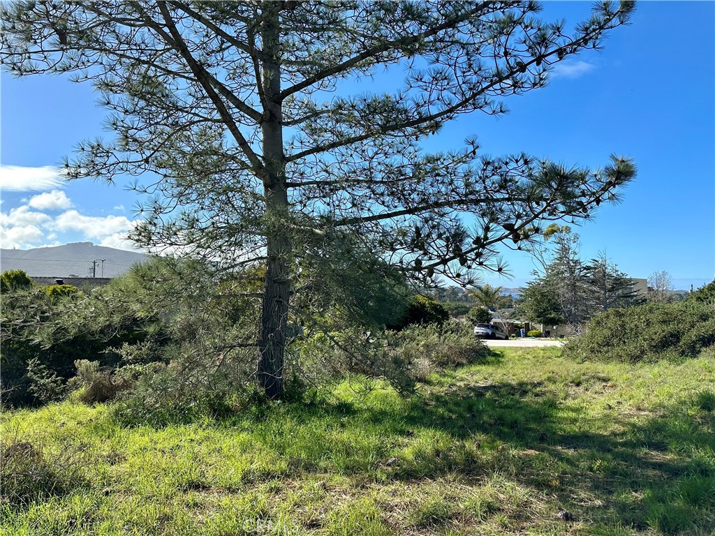 Town of El Moro(680) - Land