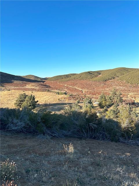 A home in Leona Valley