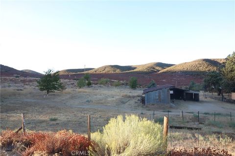 A home in Leona Valley