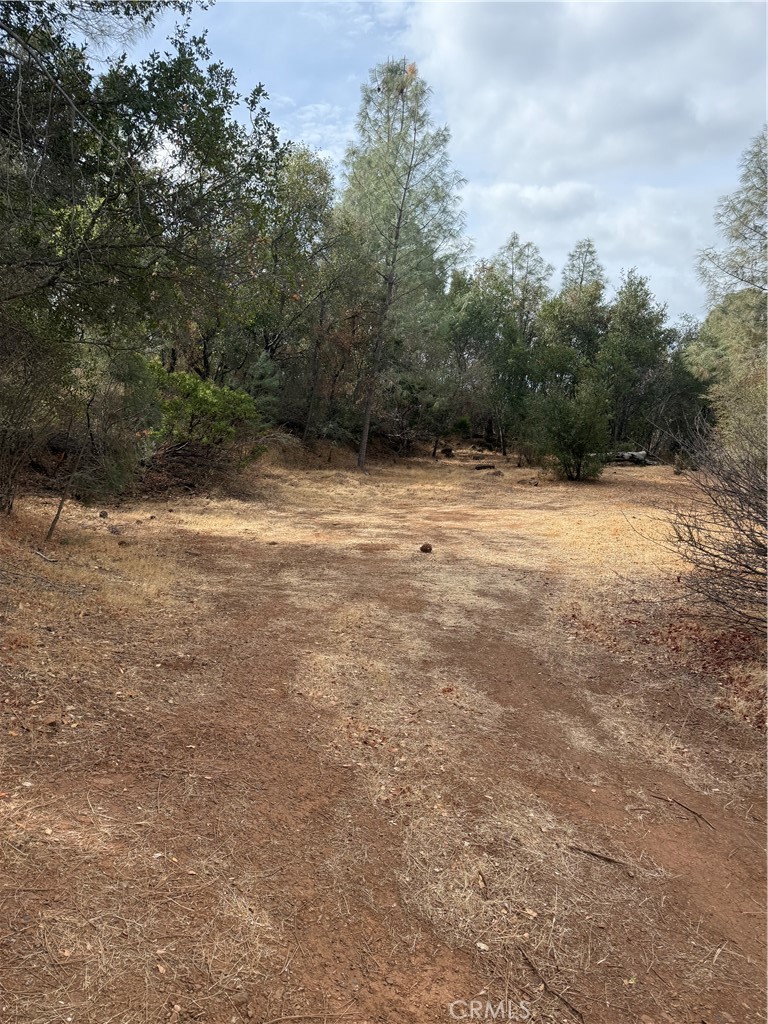 Perfect lot to build your permanent or vacation home. It also could be a great investment for rental income property as lot next door is also for sale. The possibilities are endless for this lot or purchase lot next door to make your private oasis or perfect investment. Located close to shopping, restaurants and beautiful Clear Lake.