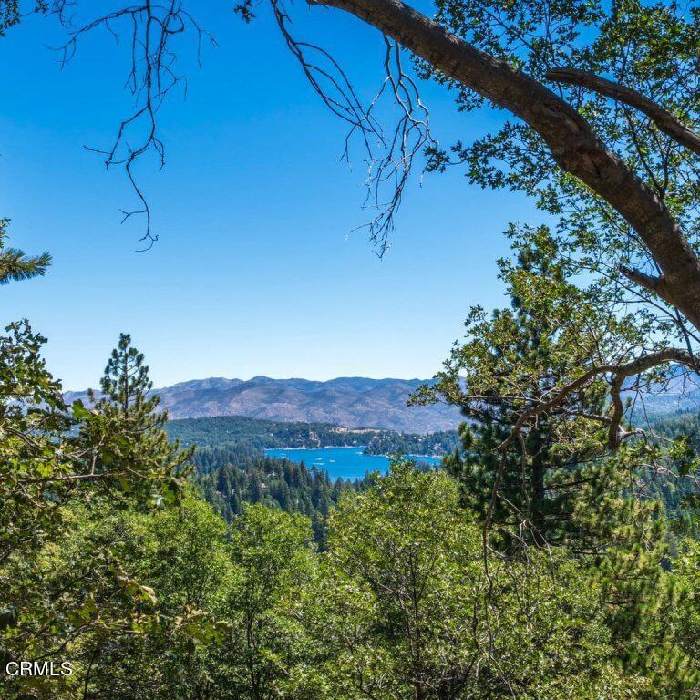 Experience luxury living in Mill Pond, a premier community located just minutes above Lake Arrowhead's South Shore. As you enter, you're greeted with a grand circular driveway, waterfalls and secure gated entrance creating an atmosphere of elegance and privacy. With underground utilities, well-maintained paved roads, and full lake rights, Mill Pond offers the perfect blend of convenience and natural beauty.Whether you envision a modern architectural masterpiece, a cozy mountain lodge, or a timeless craftsman-style retreat, Mill Pond provides the perfect canvas to bring your vision to life. With no architectural restrictions from Arrowhead Architecture Committee, you have the freedom to design a home that reflects your personal style while taking full advantage of the stunning natural surroundings.Experience the charm of all four seasons in this vibrant mountain-lake community, where several custom homes are already taking shape. Don't miss your chance to create a one-of-a-kind retreat in the extraordinary setting of Mill Pond!