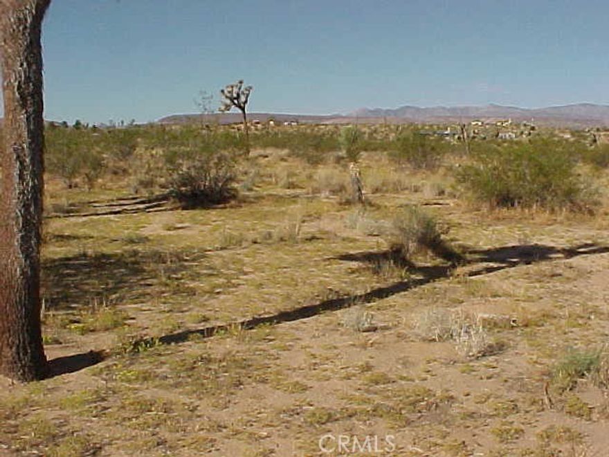 Looking to get away from it all? Here's your opportunity to find serenity in the desert on this beautiful parcel of land with gorgeous views of the mountains in the distance. The lot is level, flat, and just waiting for you to build your dream home, family compound, horse ranch, Airbinb, or just a place to get away and have fun with your all terrain toys. The property is located on a paved road for easy access and close to attractions such as Joshua Tree National Park, Giant Rock, Goat Mountain, Integratron, Pioneer Town, Landers Brewing Company, and Yucca Valley for all the necessities. Utilities are close by, there is electricity at the neighboring property, and a public water line runs along Landers Lane. Development is occurring all around the Landers area and you can be a part of the future growth. Don't delay go see this property today!