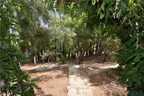 A home in Lake Elsinore