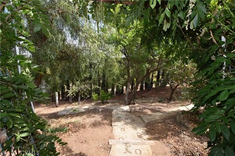 A home in Lake Elsinore