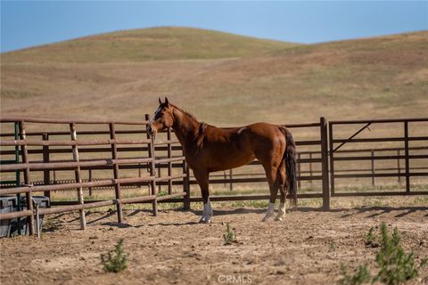 Tiny photo for 2500 Shandon, Shandon, CA 93461 (MLS # NS24052843)